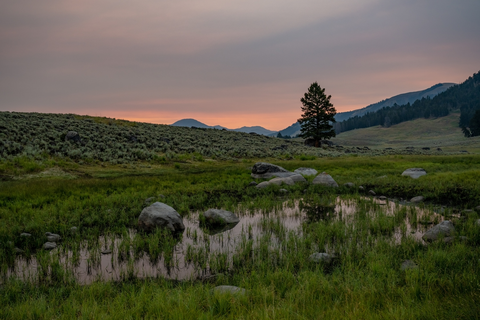 An image depicting the trail Specimen Ridge Trail and its surrounding area.