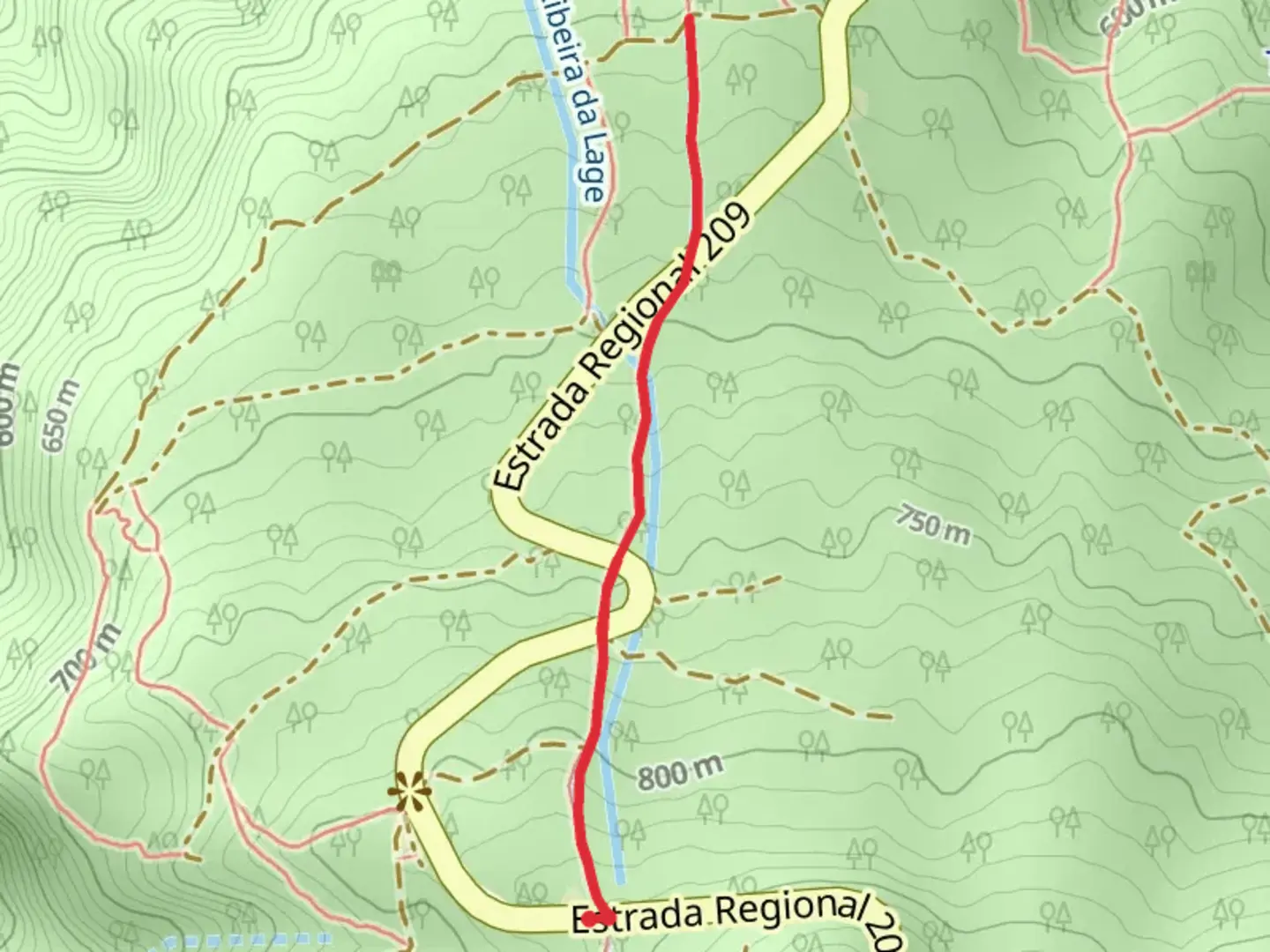 An image depicting the trail PR 15 Footpath of Ribeira da Janela and its surrounding area.