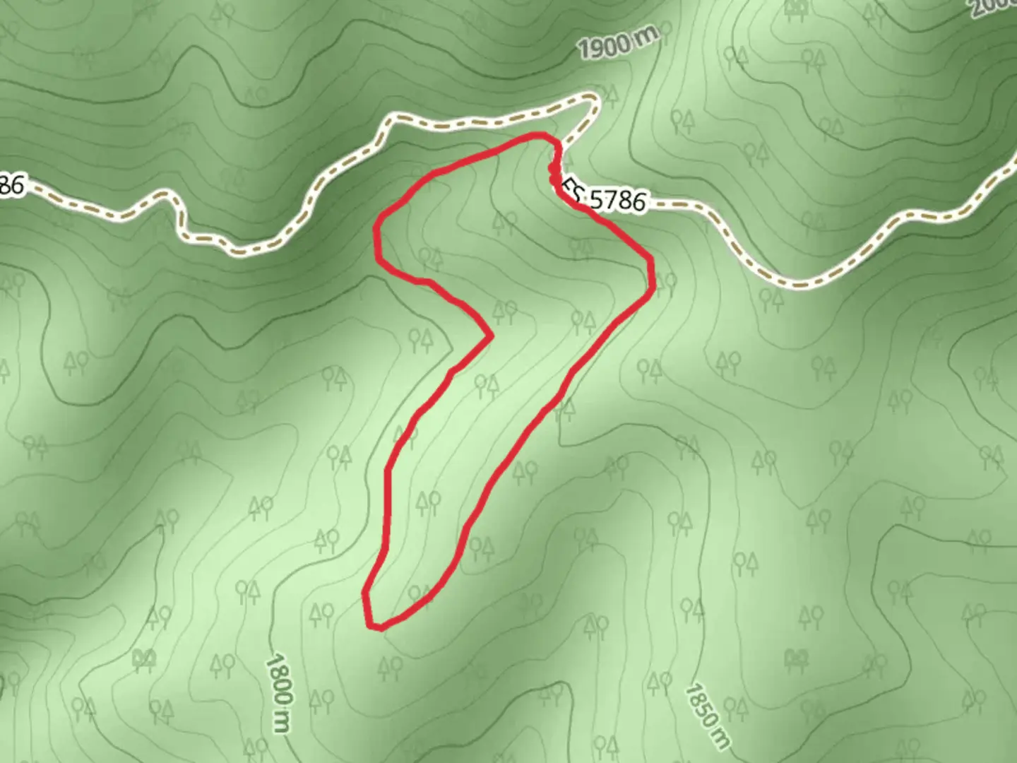An image depicting the trail East Fork Bertie Lord Loop Trail and its surrounding area.