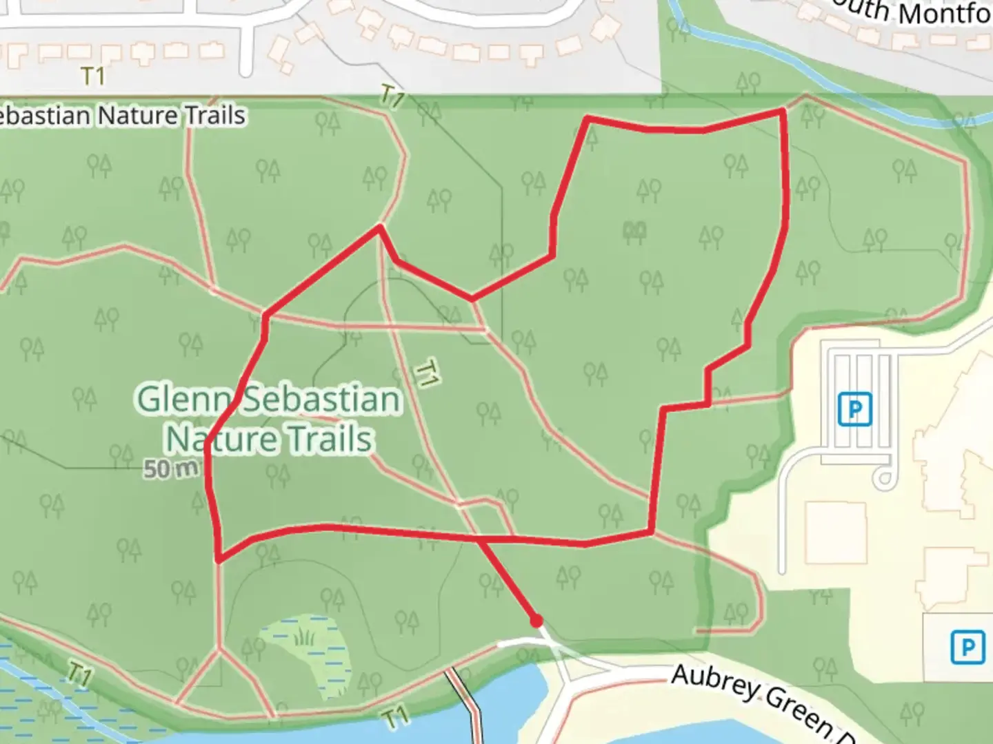 An image depicting the trail Glenn Sebastian Nature Loop Trails and its surrounding area.