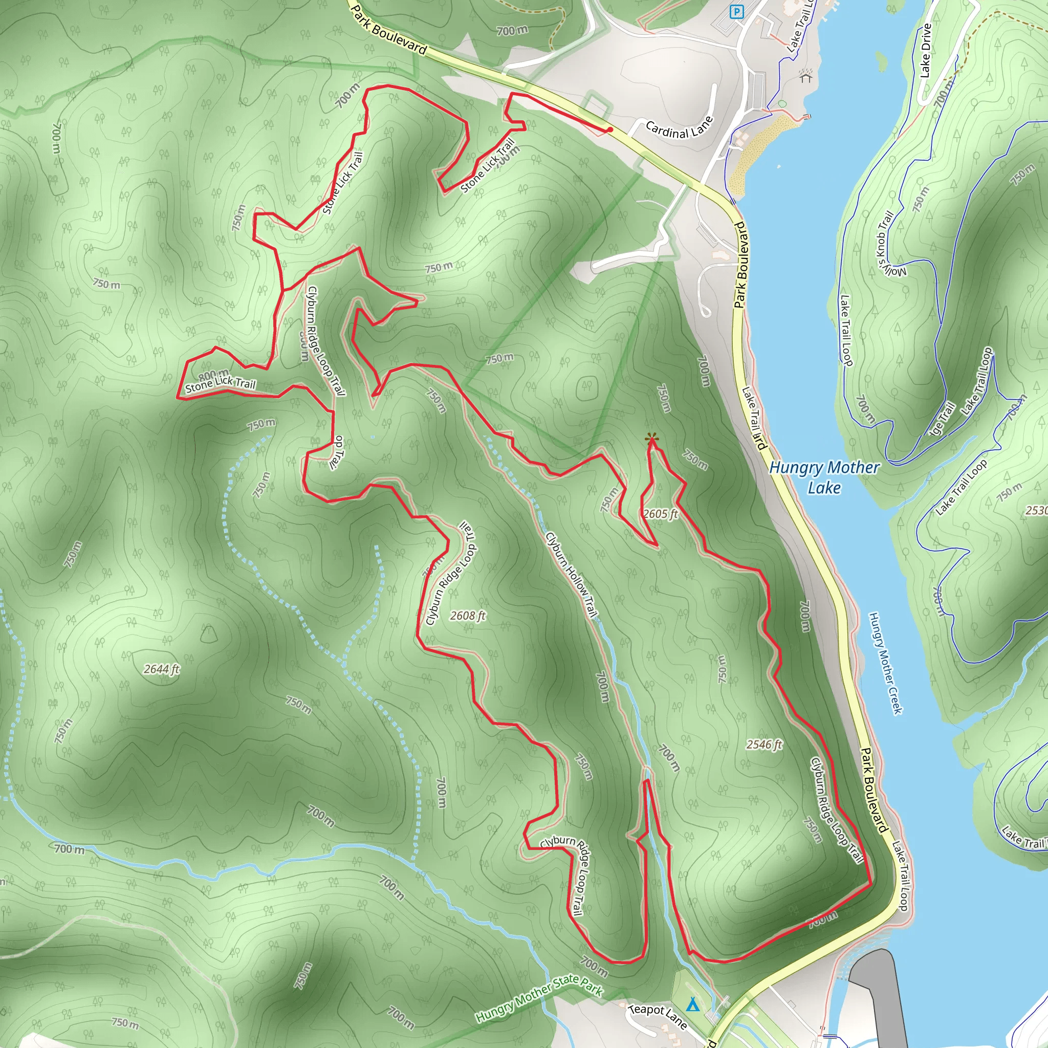 Stone Lick and Clyburn Ridge Loop Trail mobile static map