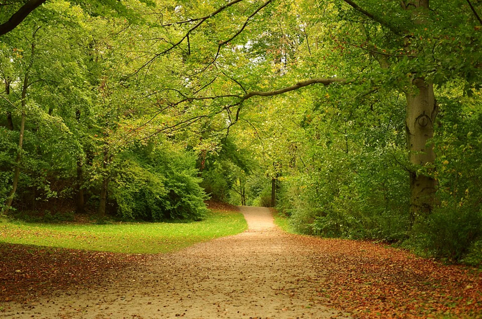 An image depicting the trail Englischer Garten Loop and its surrounding area.