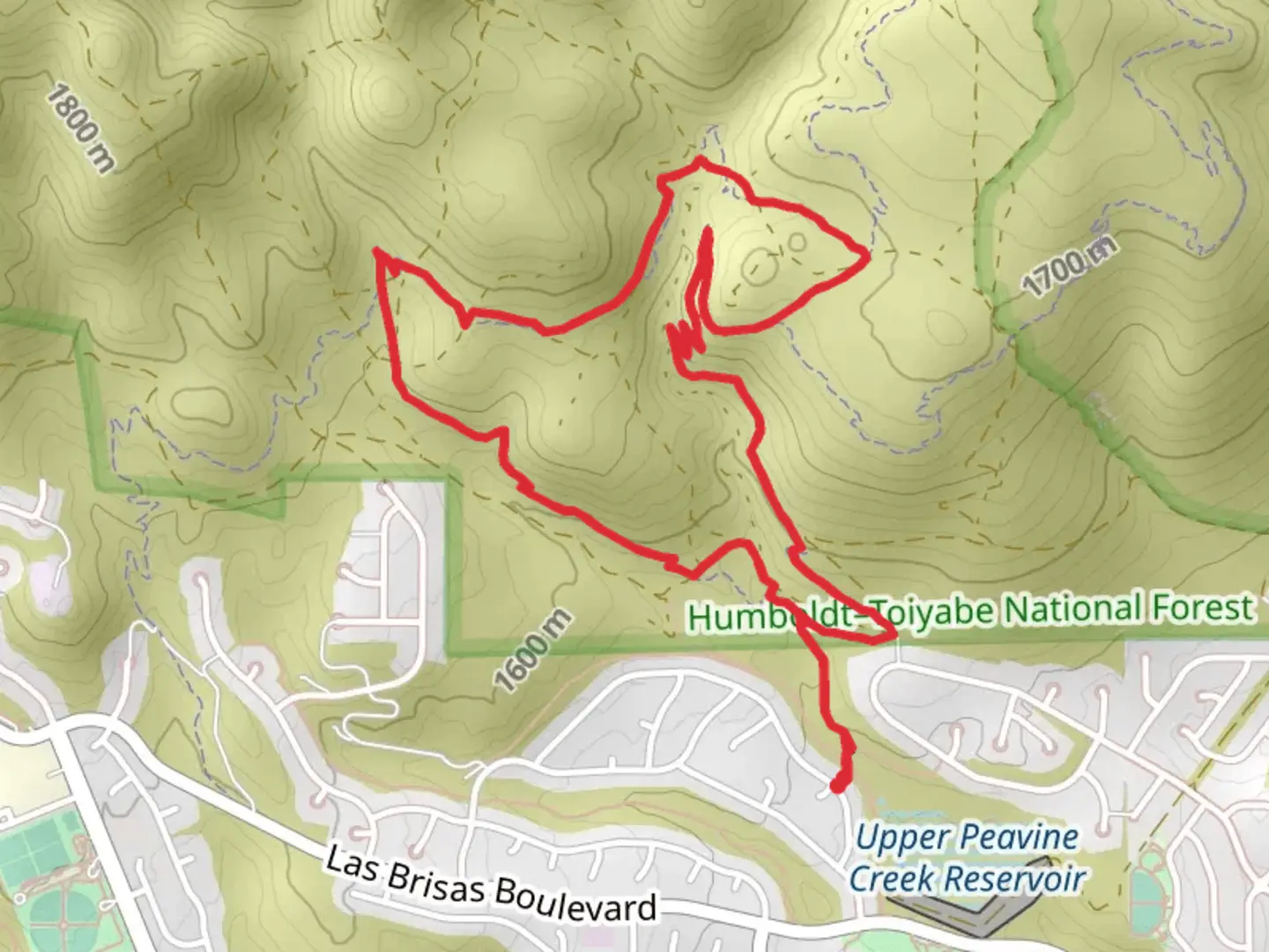An image depicting the trail Las Brisas and Halo Loop Trail and its surrounding area.