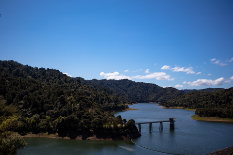 Wairoa Dam Lookout Loop