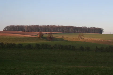 Wold Newton Country Park Loop