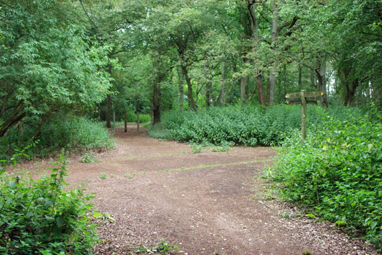 An image depicting the trail Alderstead Heath and Piles Wood via Tandridge Border Path and its surrounding area.