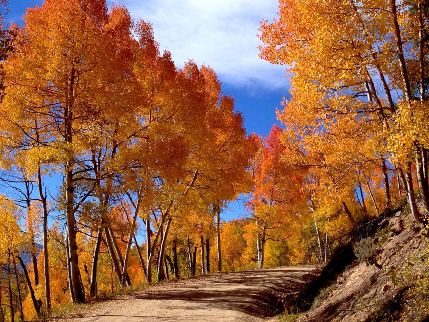 An image depicting the trail Bald Mountain Trail and its surrounding area.