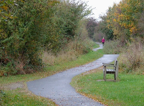 An image depicting the trail Branston Water Park and its surrounding area.