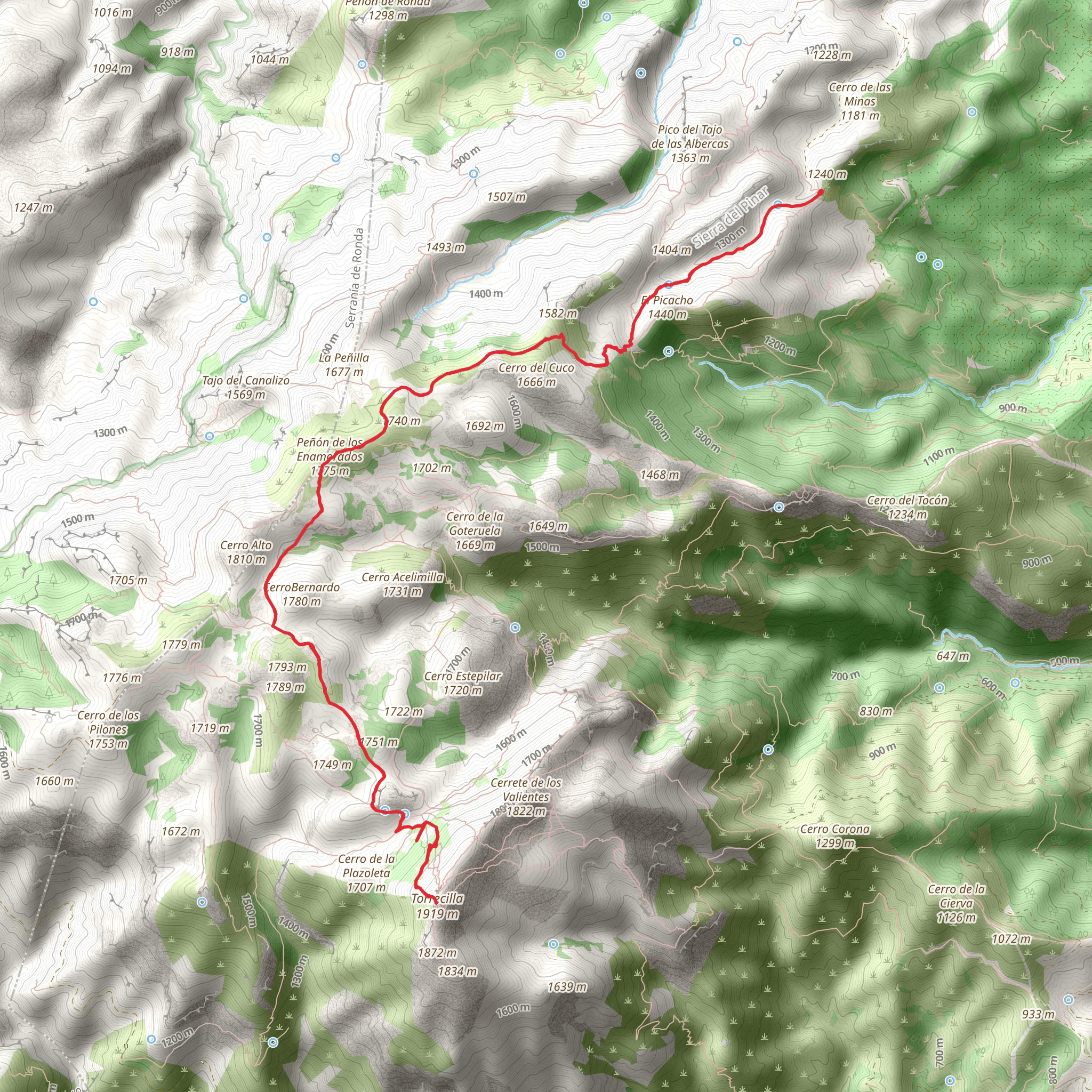 Puerto Saucillo-Torrecilla mobile static map