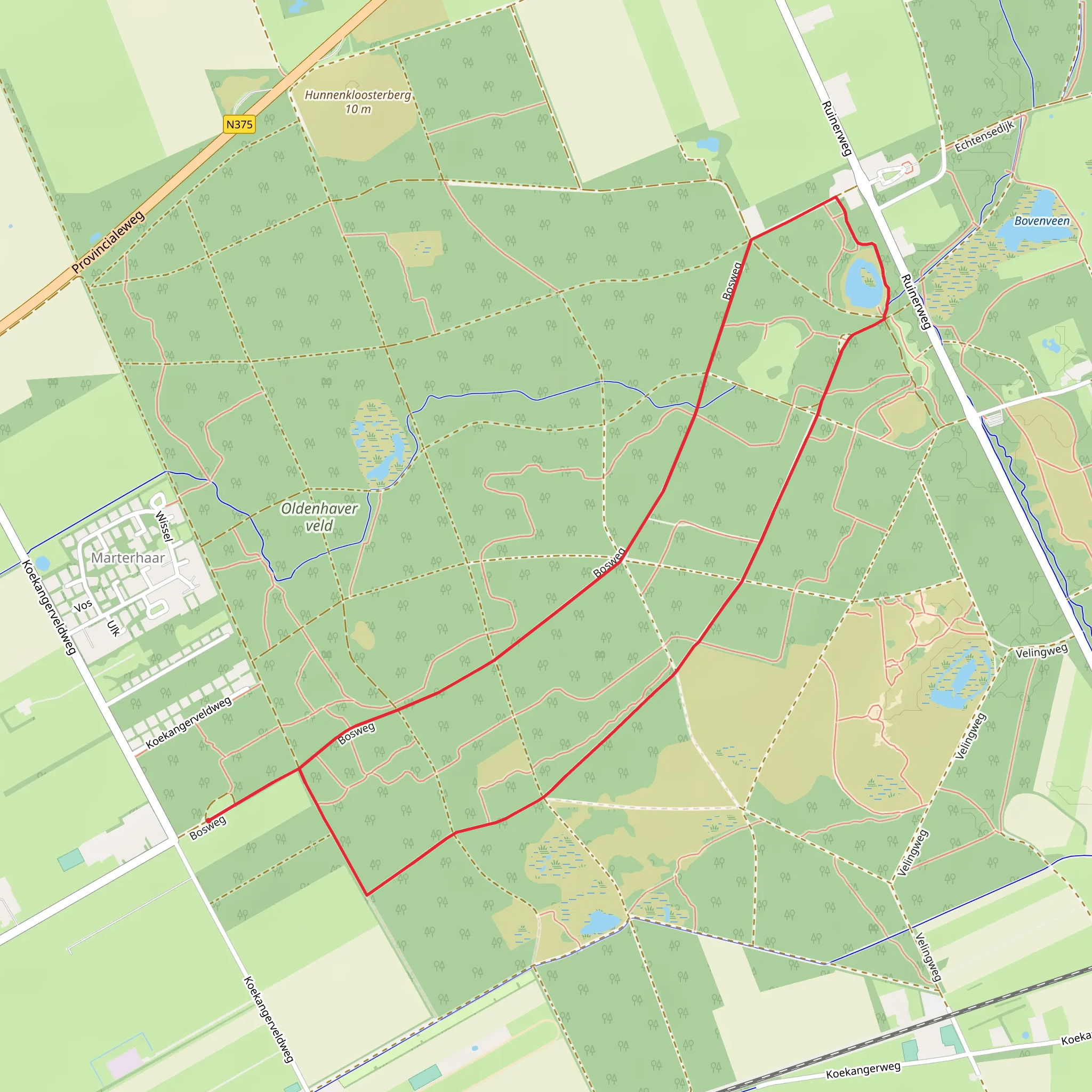 Roswachterij Ruinen via Rondwandeling Blauw mobile static map