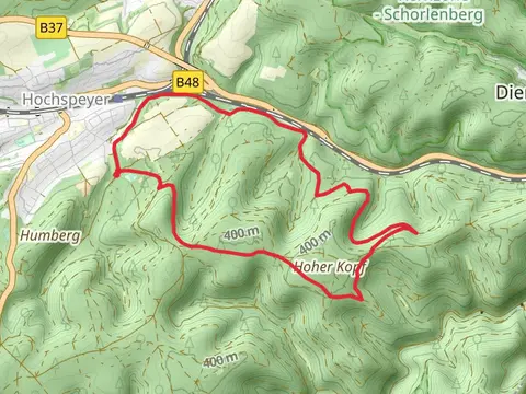 Hoher Kopf and Niederwalder Kopf Loop via Hochsperyer Wanderweg 5