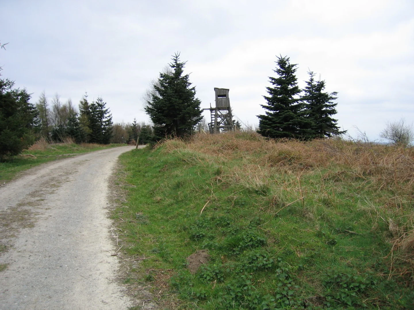 An image depicting the trail High Vinnalls - Burrington and Richard's Castle and its surrounding area.