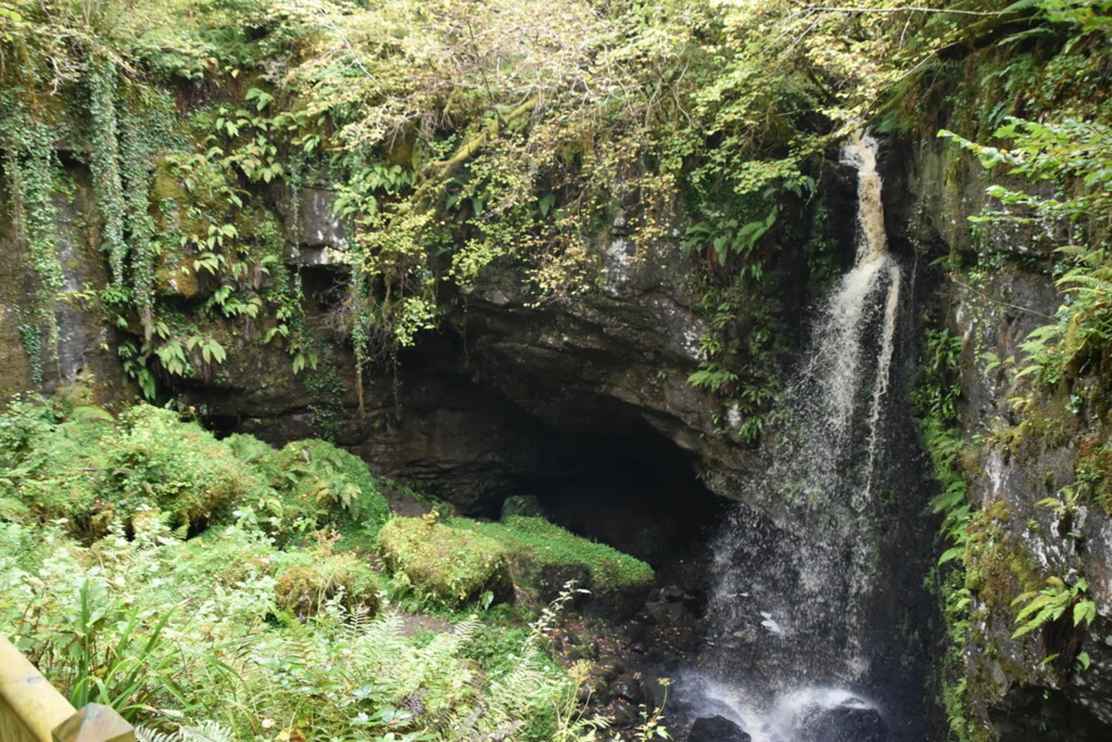 An image depicting the trail Belmore Forest – Pollnagollum Cave Walk and its surrounding area.
