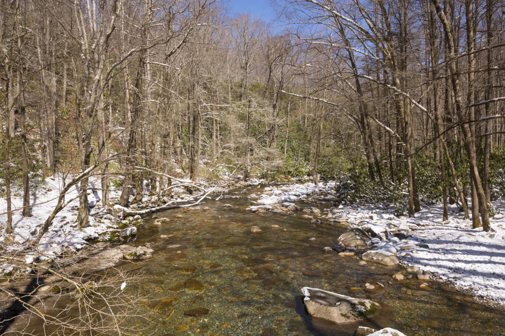 An image depicting the trail Big Creek Trail and its surrounding area.