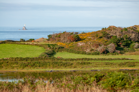 Cape Clear - Glen Loop