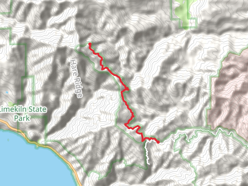 Cone Peak Road from Nacimiento-Fergusson Road
