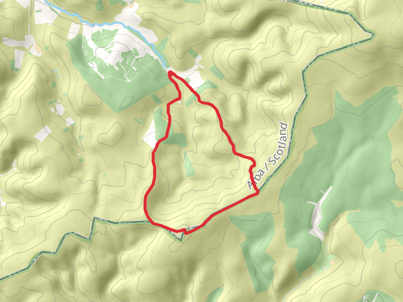 Cock Law and Outer Cock Law Loop