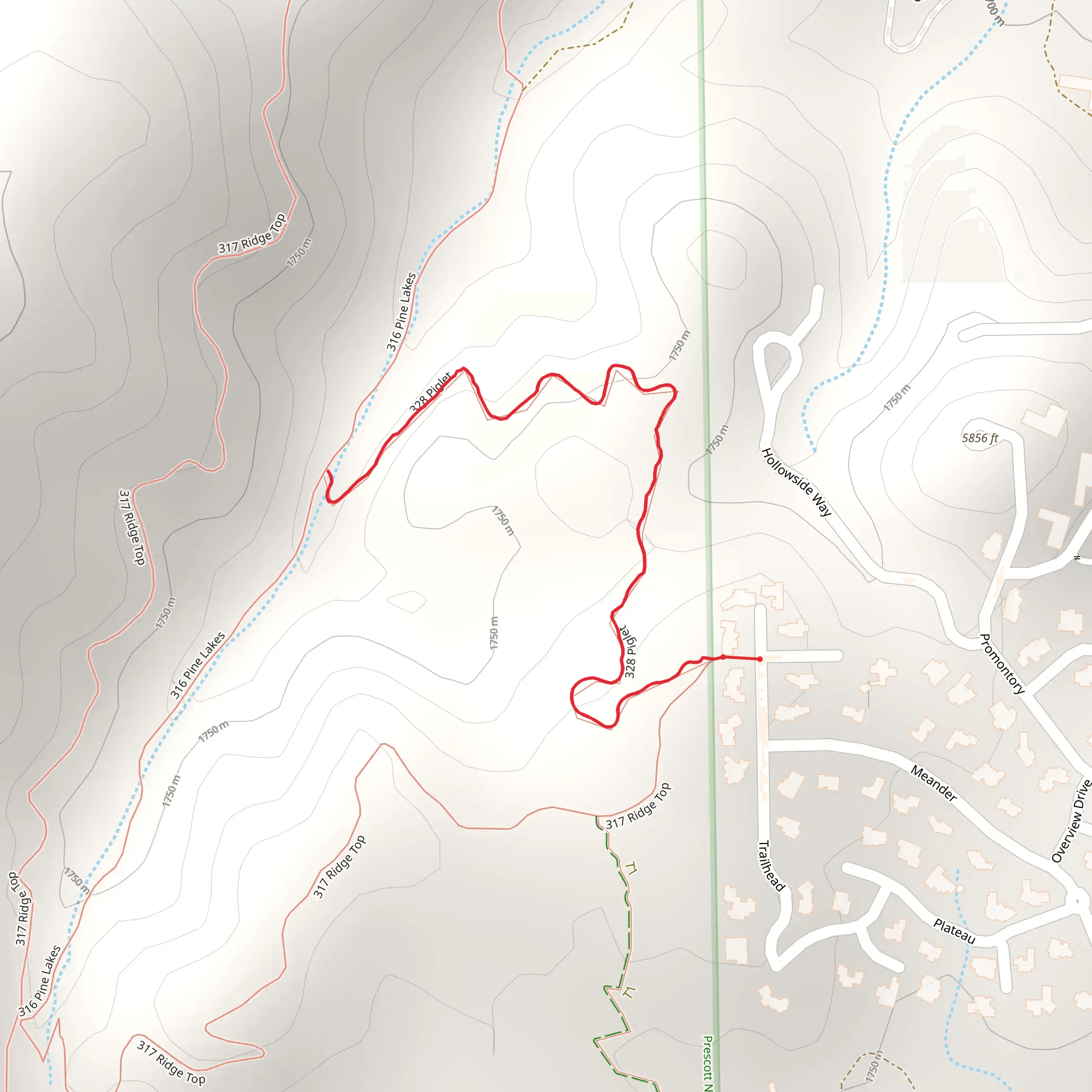 Piglet Trail mobile static map