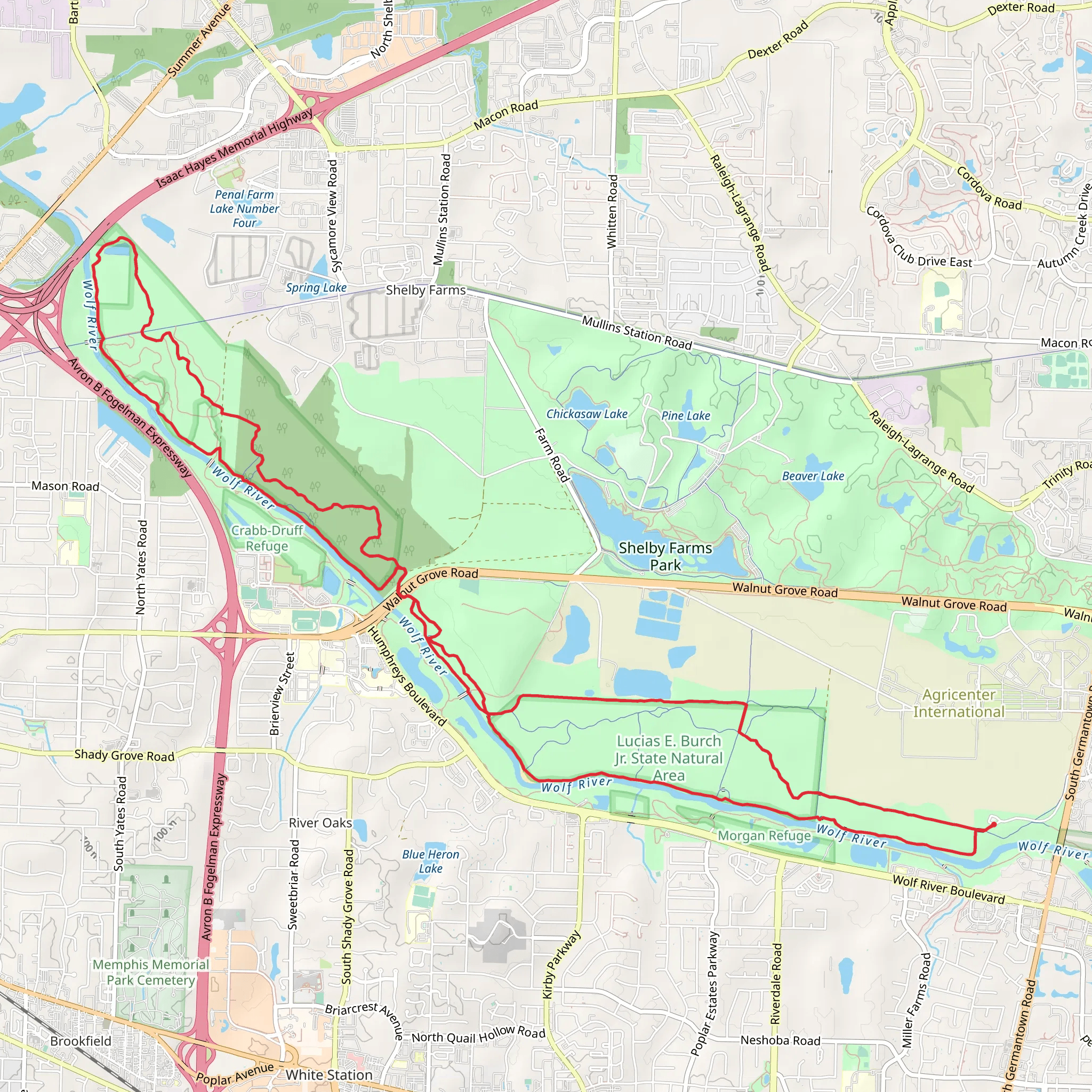 Wolf River Loop Trail mobile static map