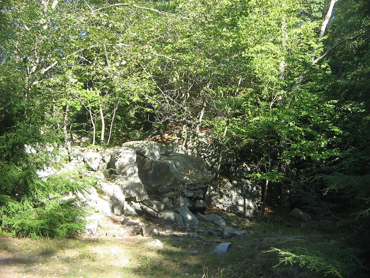 An image depicting the trail Shades of Death Trail via Sand Spring Run Creek and its surrounding area.