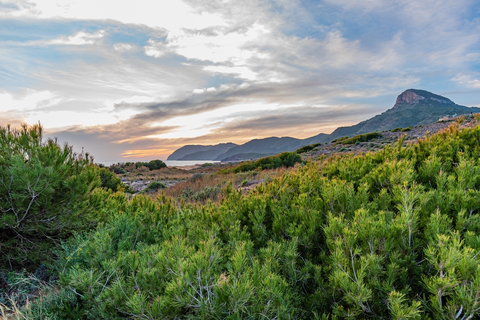 Return to the Head of the Fountain PR MU 01