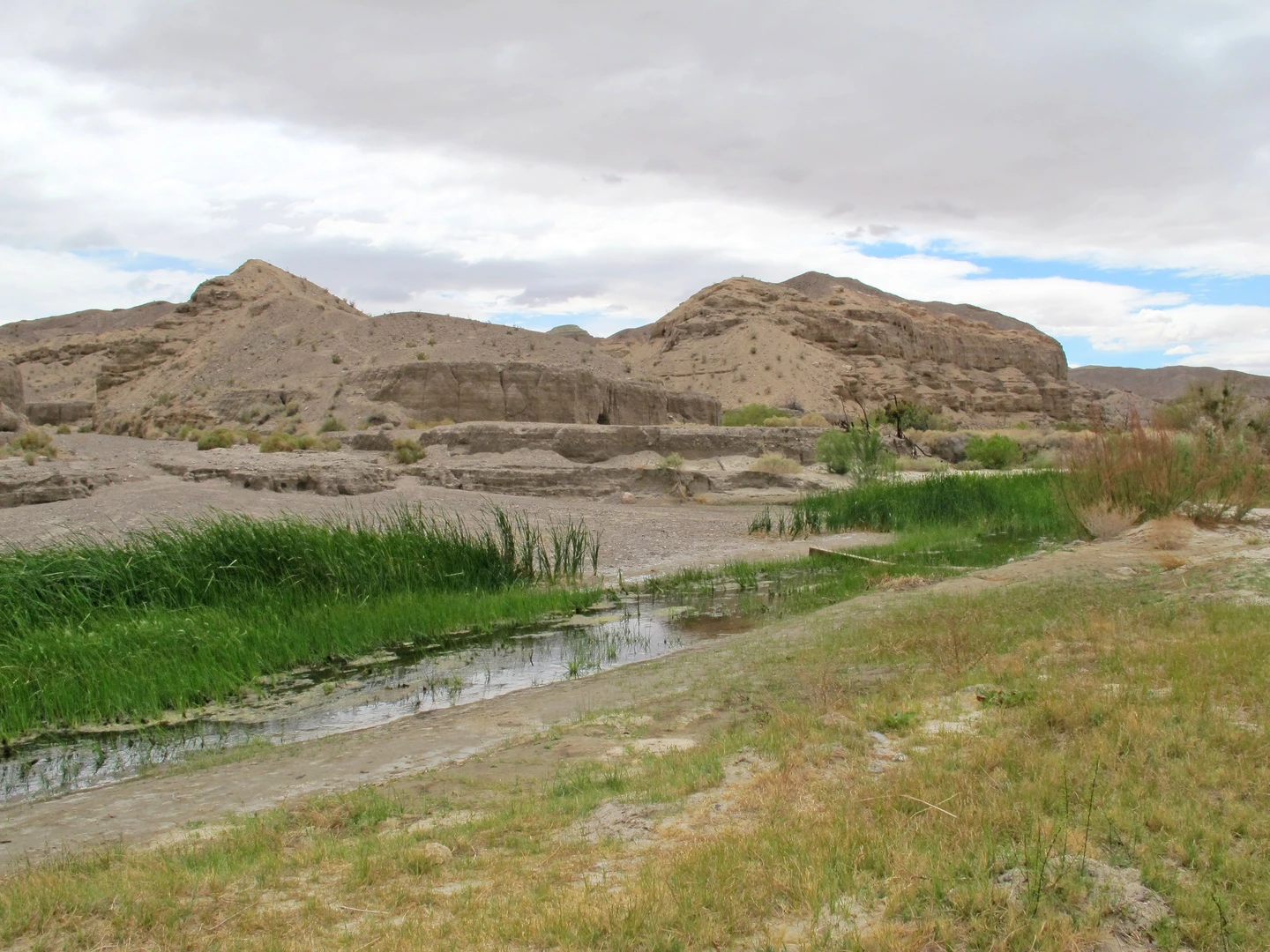 An image depicting the trail Mojave River Walk and its surrounding area.