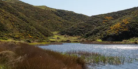 An image depicting the trail Eastbourne Lakes Circuit and its surrounding area.