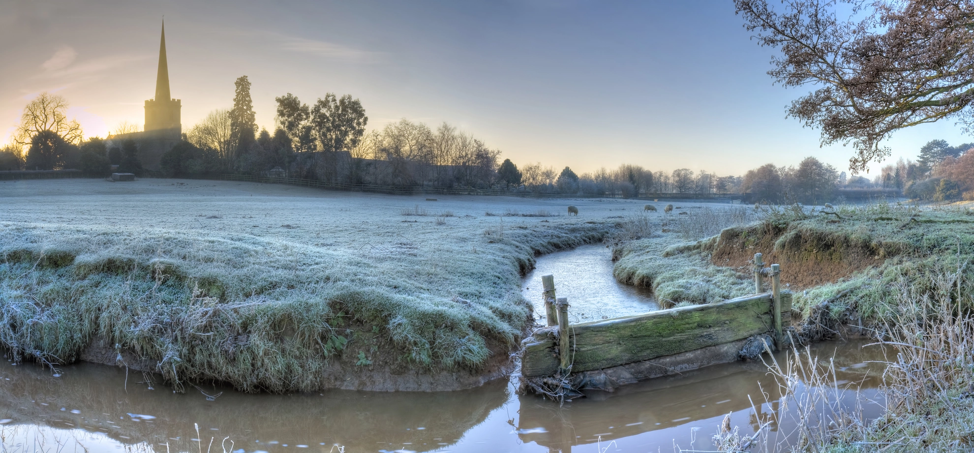 An image depicting the trail Chaddesley Chase and its surrounding area.