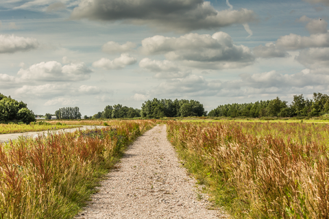 Buiten Wester and Landgoed Ursula Loop