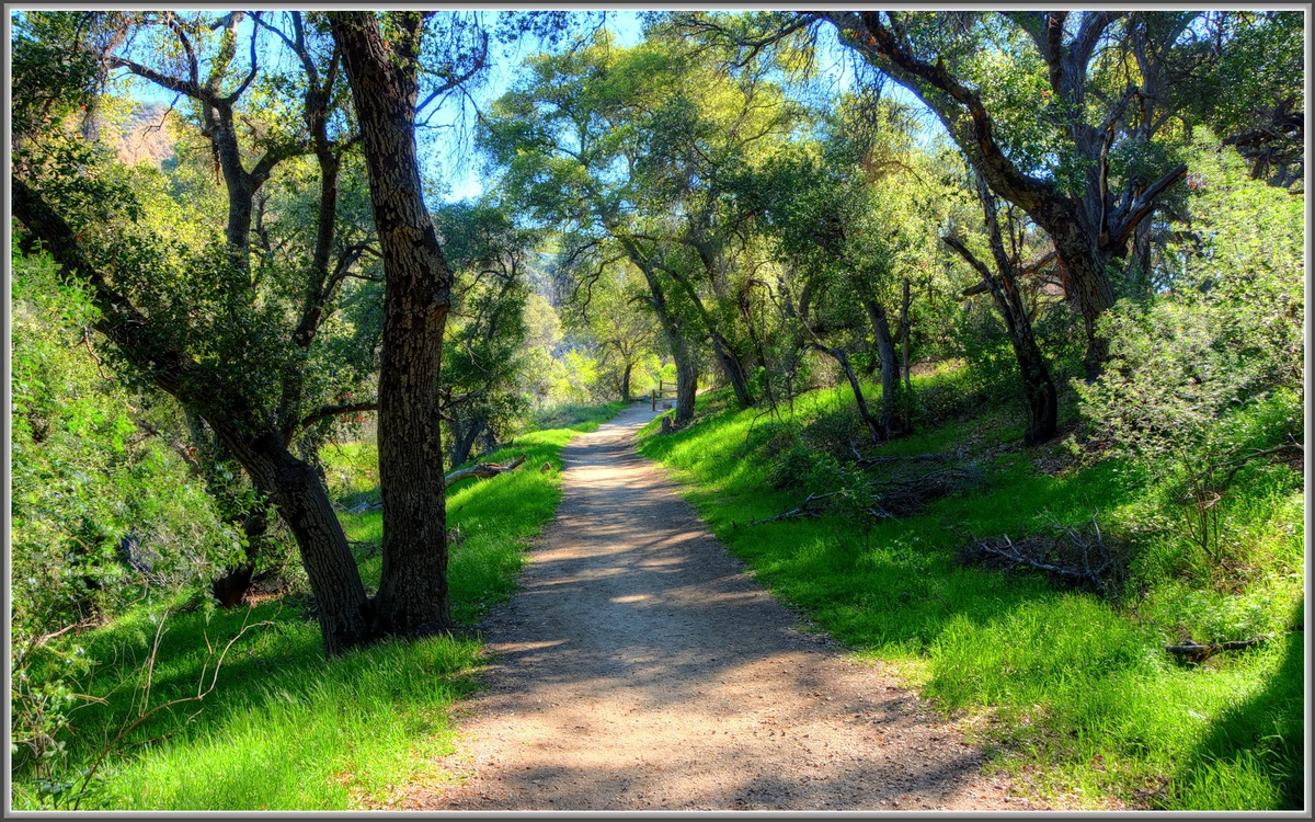 Placerita Canyon Trail