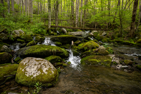 An image depicting the trail Panther Creek via Jake Creek Trail and its surrounding area.