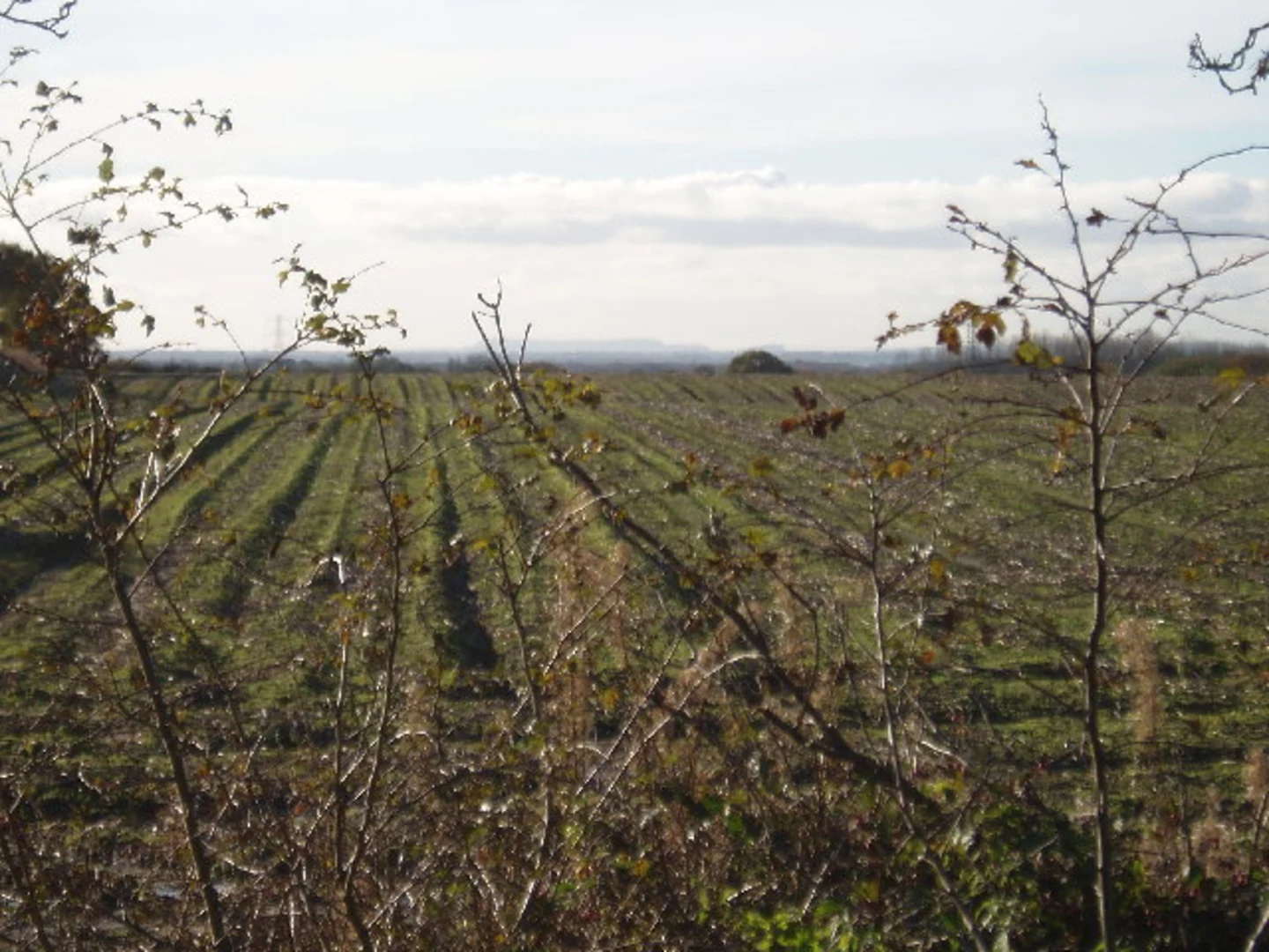 An image depicting the trail Staffordshire Way and its surrounding area.