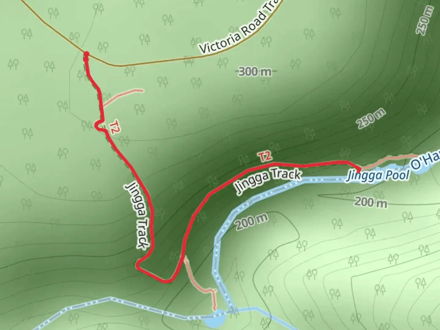 An image depicting the trail Jingga Track and its surrounding area.