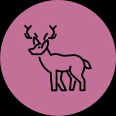 Hathaway Bush avatar