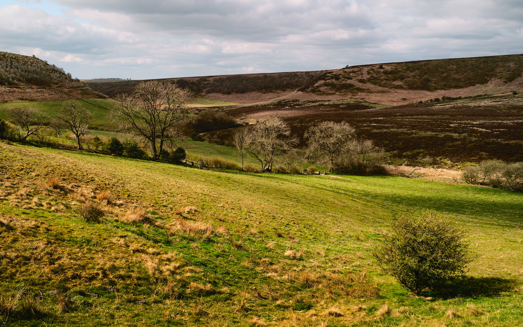 An image depicting the trail Levisham Moor and the Hole of Horcum Walk and its surrounding area.