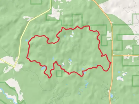Hoist Lake Loop Trails