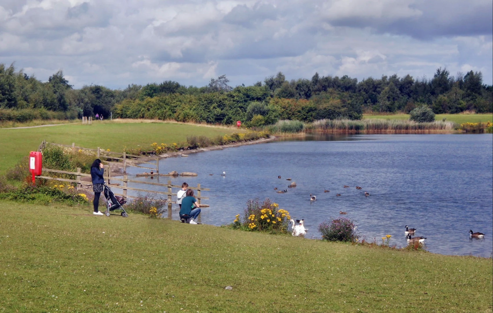 An image depicting the trail Anglers Country Park Loop and its surrounding area.