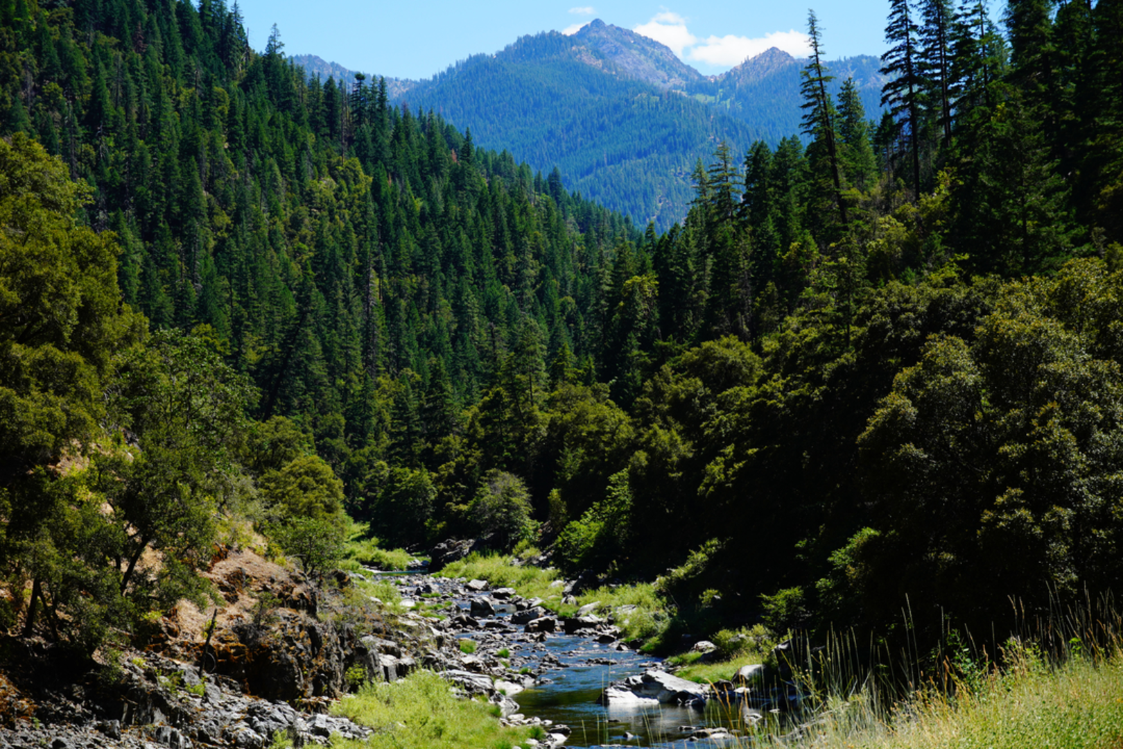 An image depicting the trail Burney Lake via Haypress Trail and its surrounding area.