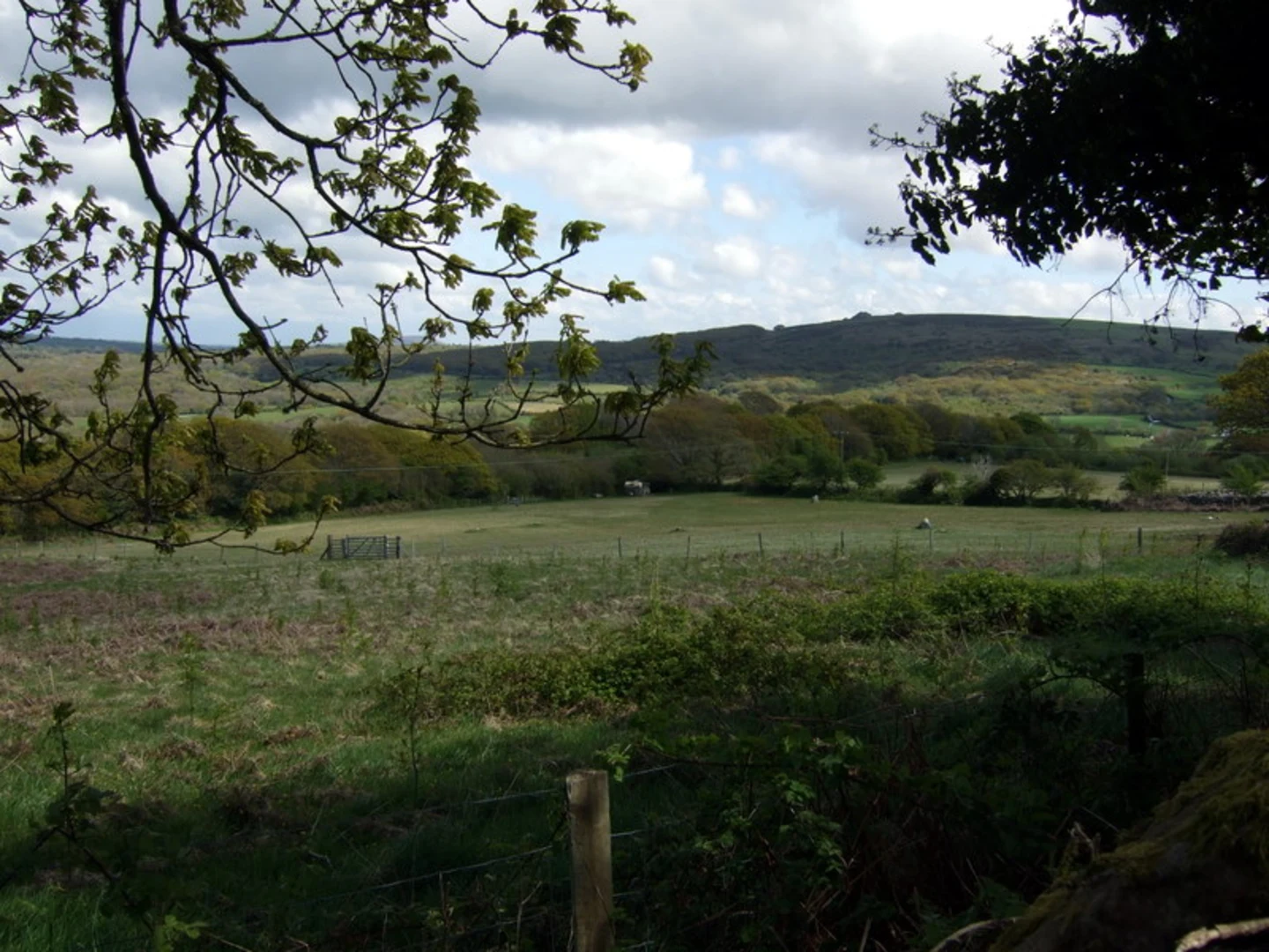 An image depicting the trail Carningli Lower Slopes - Short Trail and its surrounding area.