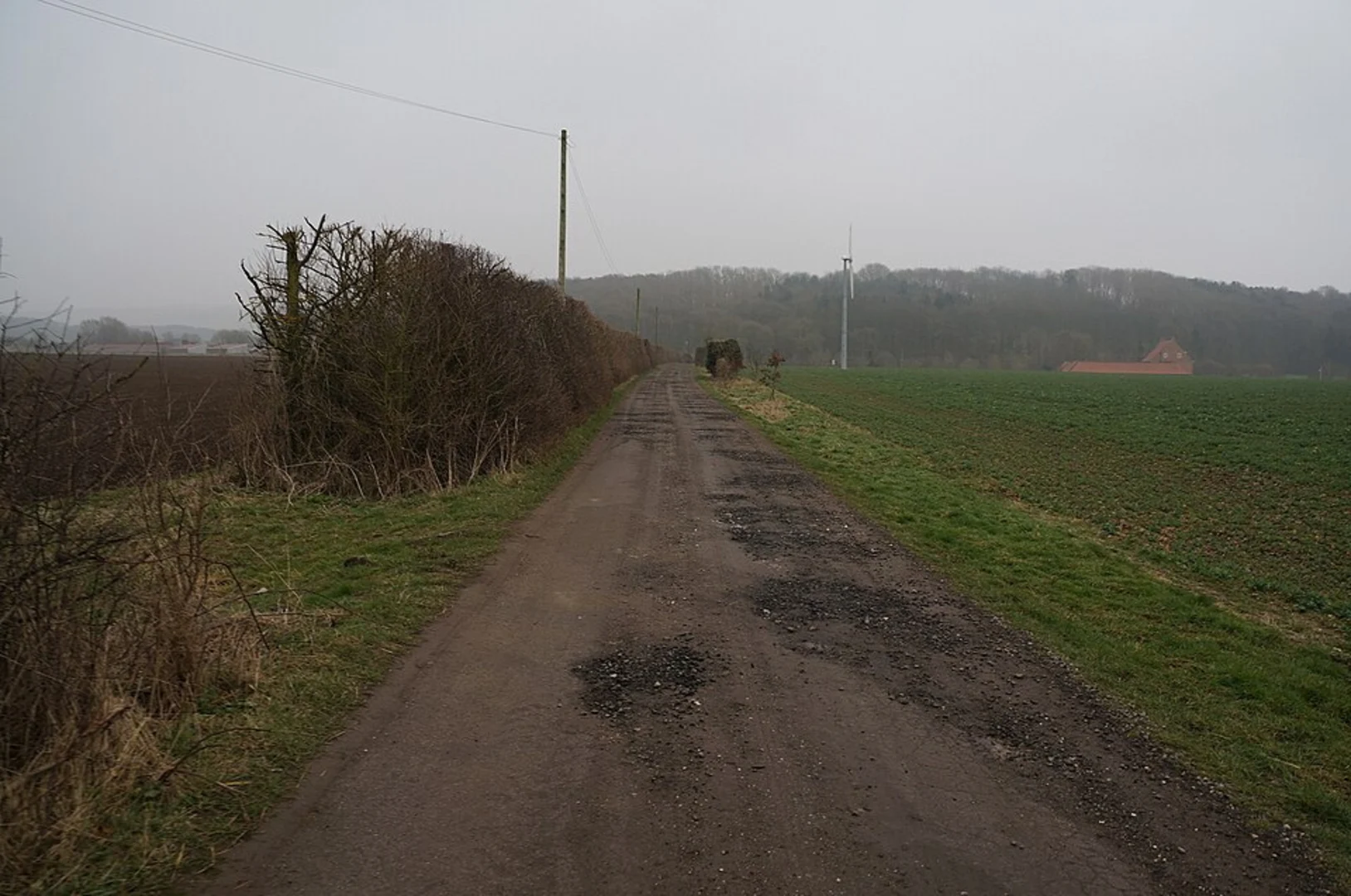 An image depicting the trail Pocklington Wood and Yapham Country Park and its surrounding area.