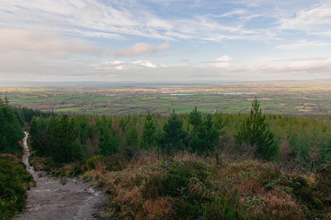 12 O Clock Hills Looped Walks - Red Route