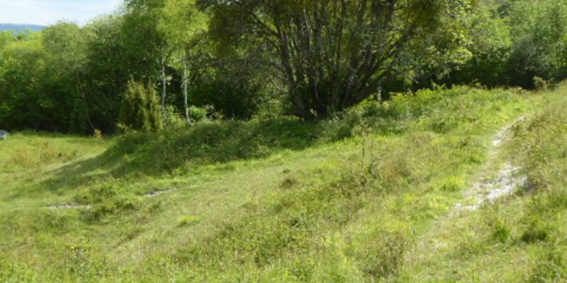 An image depicting the trail Hilltop - Cocking to Littleton Farm and its surrounding area.
