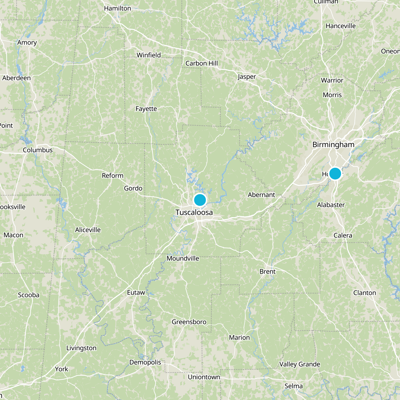 Tuscaloosa County Static Map