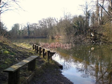 Park Lime Pits Loop