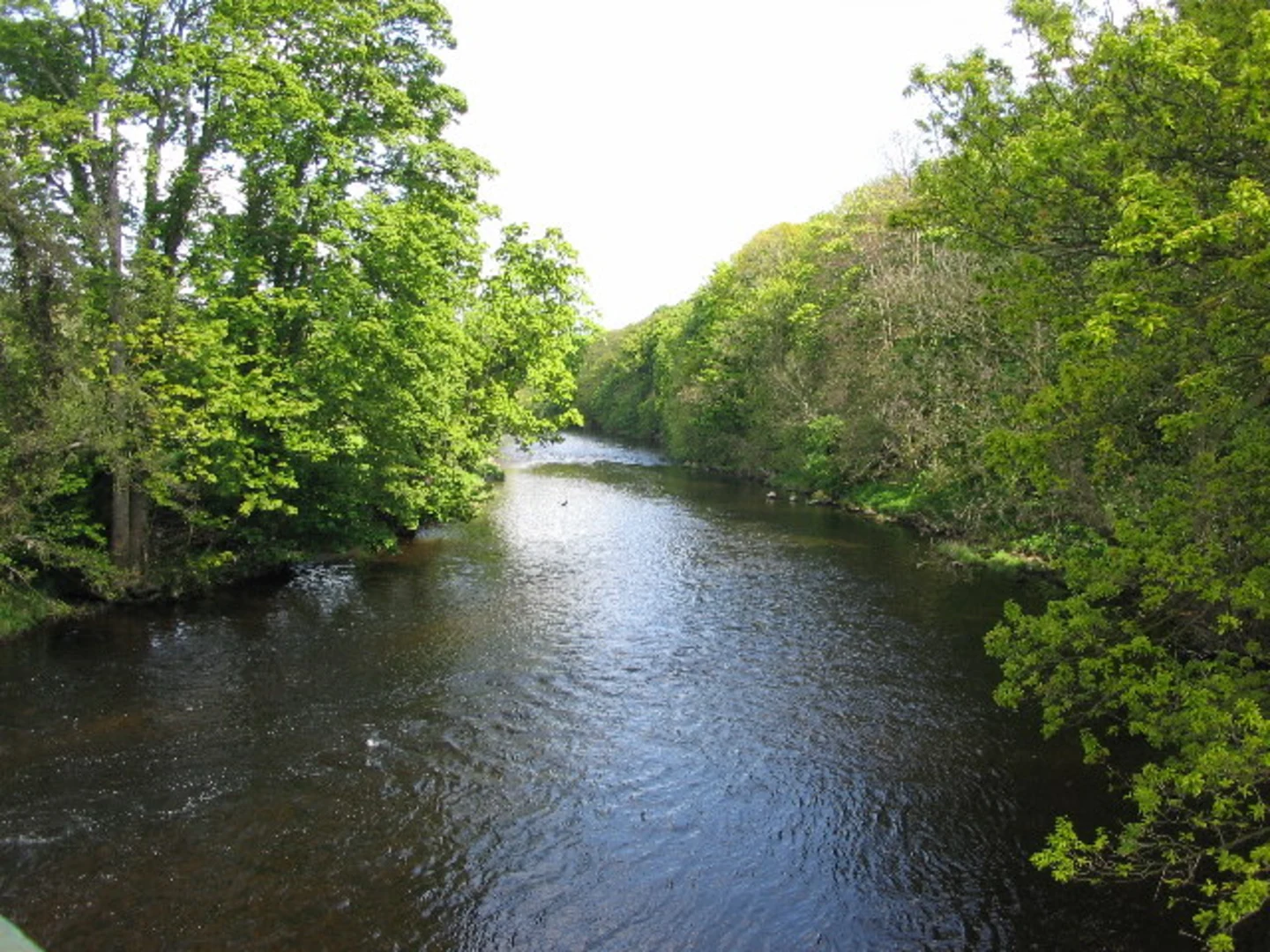 An image depicting the trail Harewood Park - Leeds Country Way - East Keswick and River Wharfe and its surrounding area.