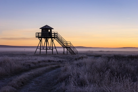 Berrueco-PR® Z 20 PR TE 15