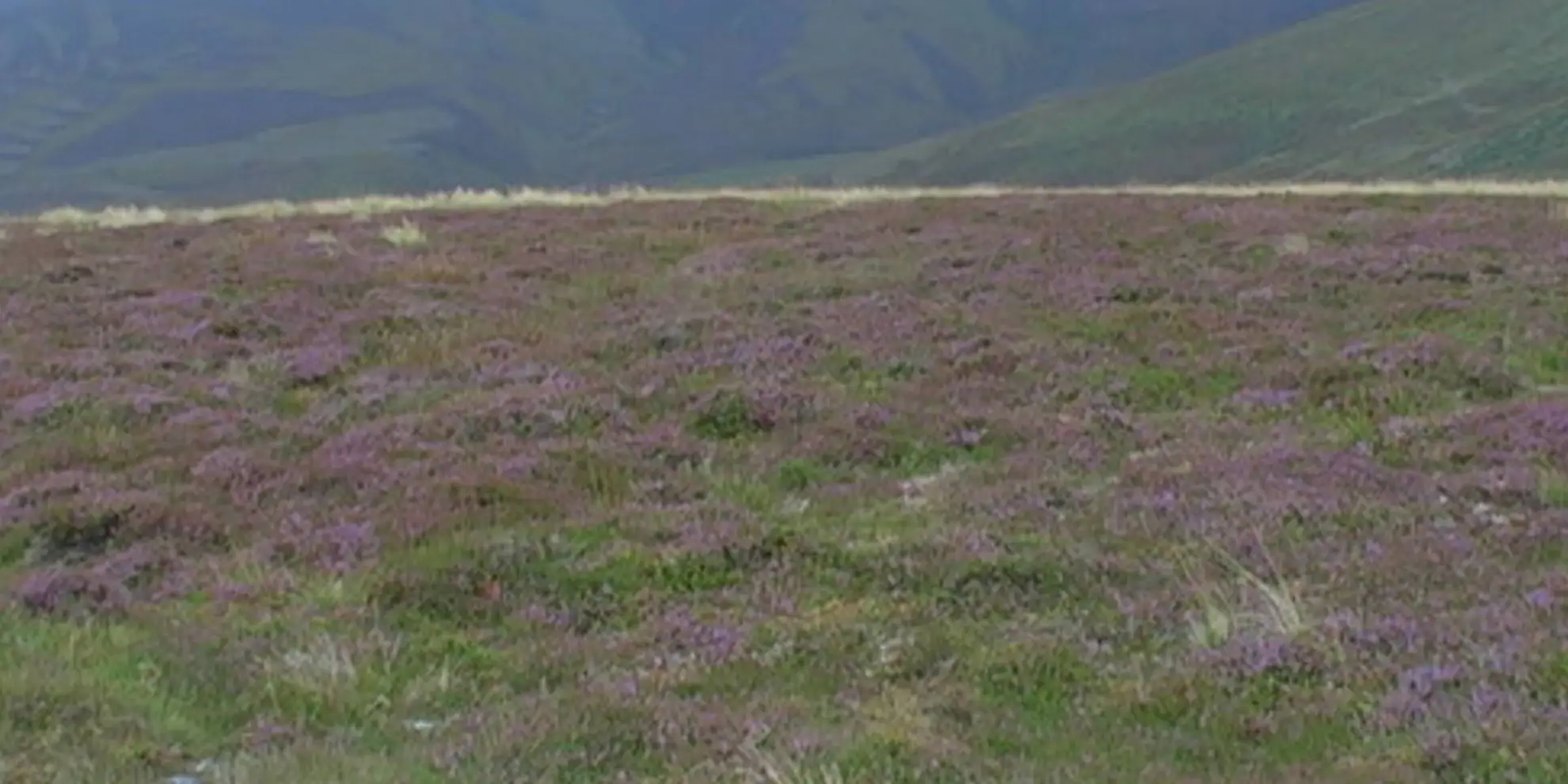 An image depicting the trail Ladder Hills from Chapeltown - Glenlivet and its surrounding area.