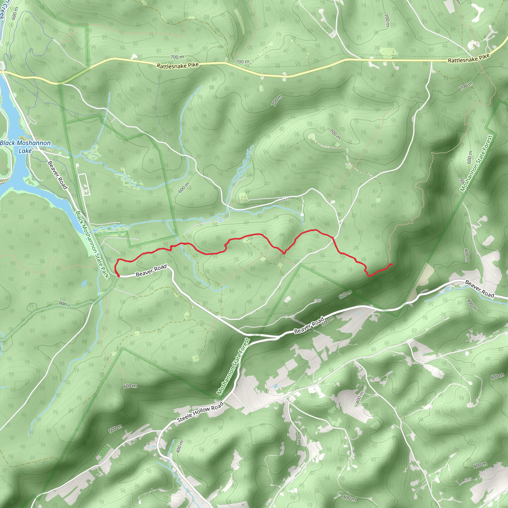 Allegheny Front Trail - Beaver Mills mobile static map