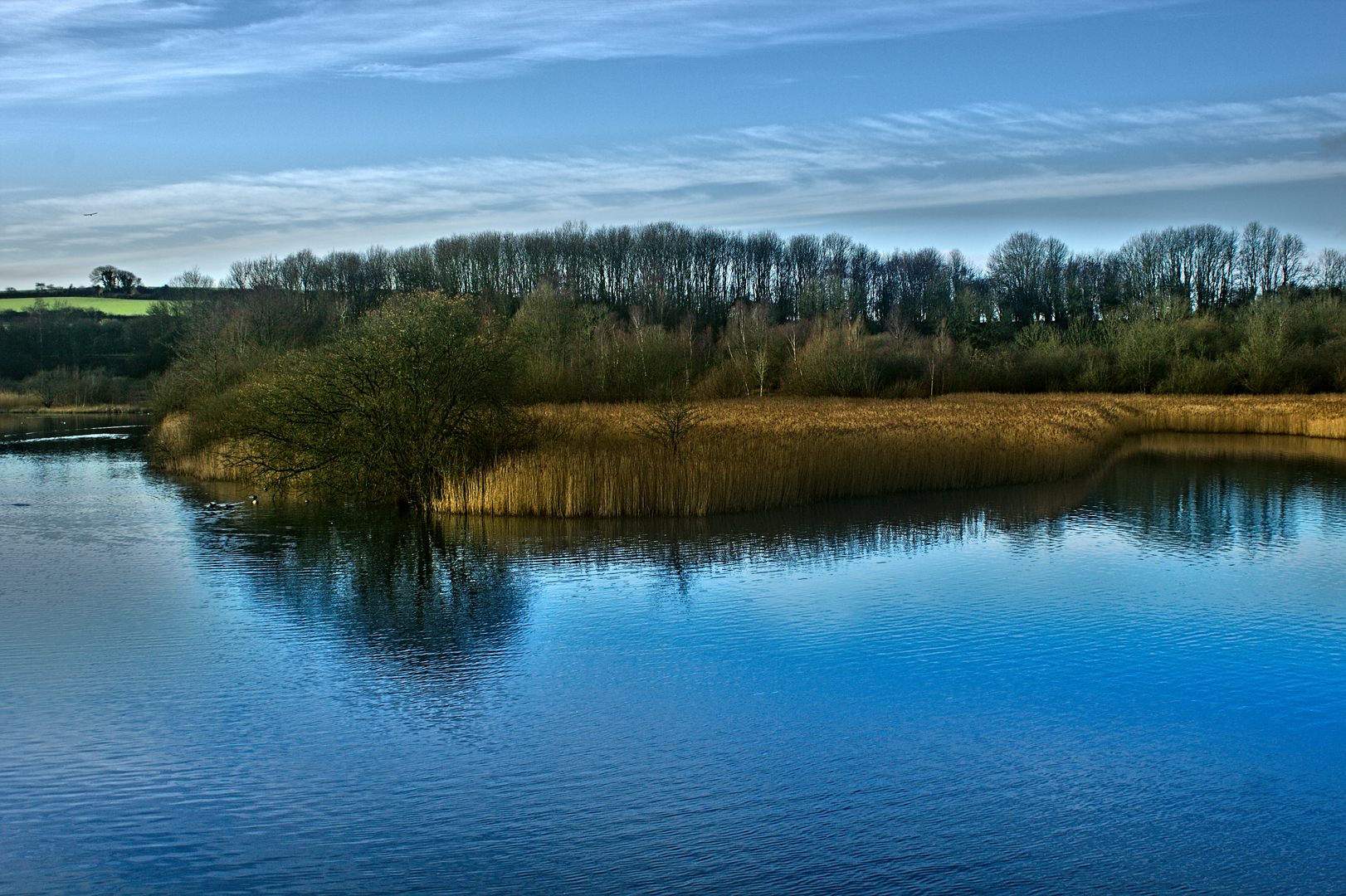 An image depicting the trail Capital Walk - Cardiff and its surrounding area.