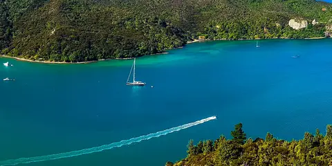 An image depicting the trail Dukes Nose via Wairaku Stream Track and its surrounding area.